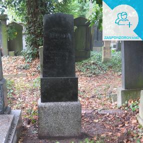 √ Jindřich Reimann (1919)