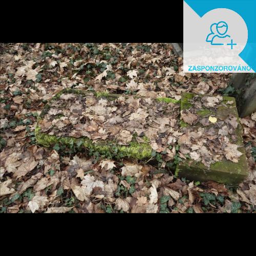 √ Rosa Stein (1908)