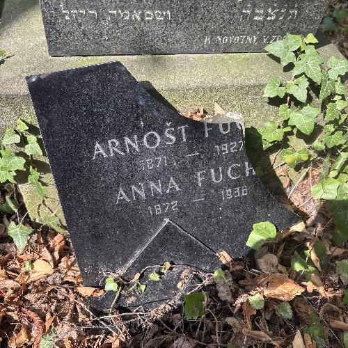 Arnošt a Anna Fuchsovi (1927/1936)