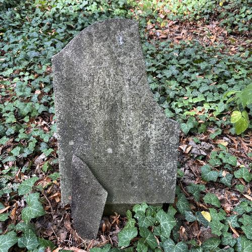 Ignatz Neumann (1919)