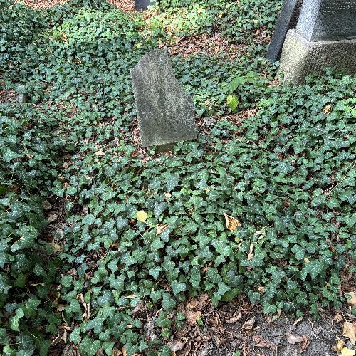 Ignatz Neumann (1919)