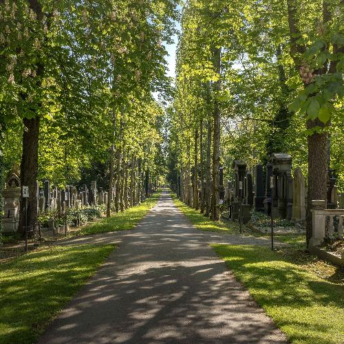 Looking Back at 2025 