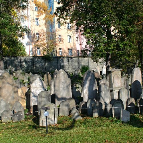  News from Fibichovka