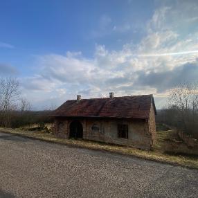 Židovský hřbitov v Křinci se znovu probouzí