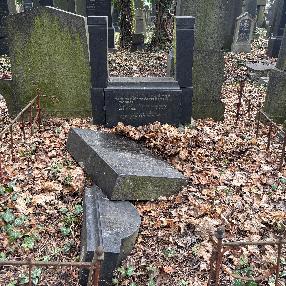 Bunzl Family (1910/1924/1928)